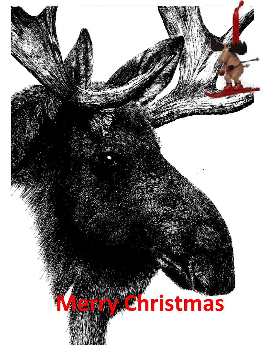 moose card with 1 ornament